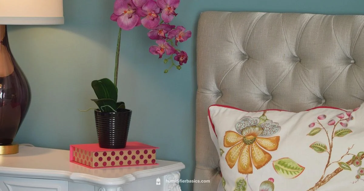 Allergy Humidity Guide - HumidifierBasics