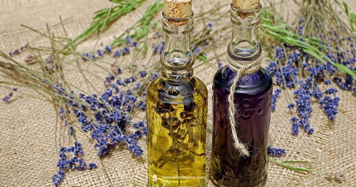 Top Oils for Humidifiers - HumidifierBasics