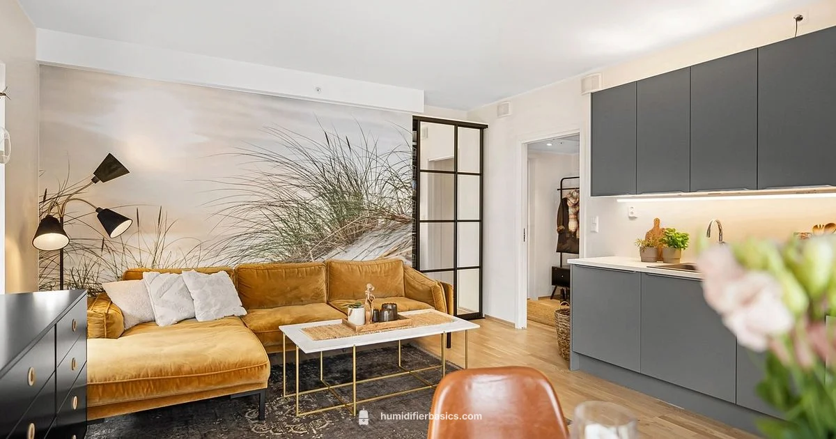 Ultrasonic Humidifier - HumidifierBasics