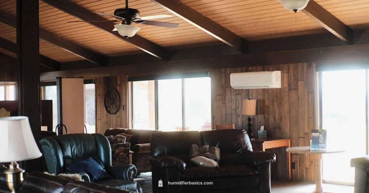 Humidifier Basics Guide - HumidifierBasics