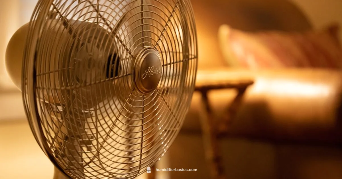 Humidifier Essentials - HumidifierBasics