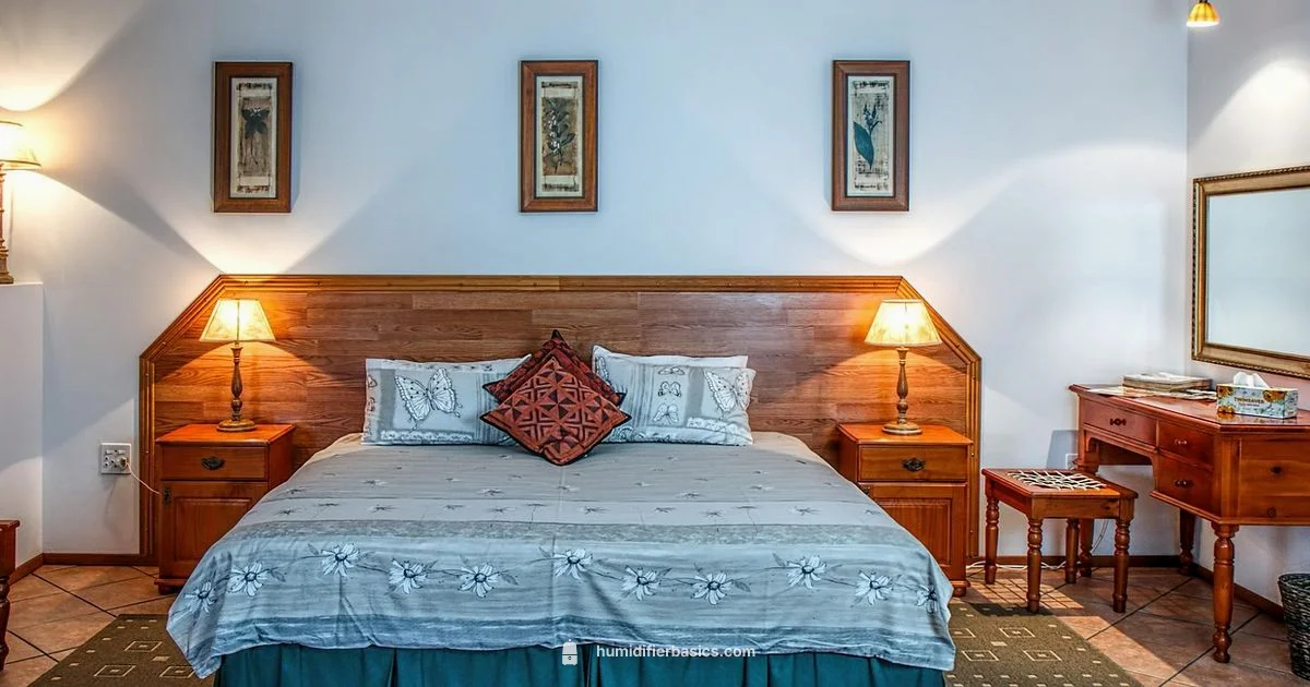 Humidifier Basics Guide - HumidifierBasics