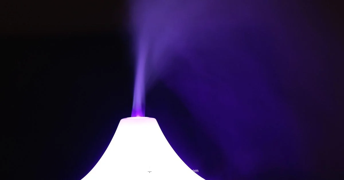 Humidifier Essentials at Home Humidifier Essentials at Home - HumidifierBasics