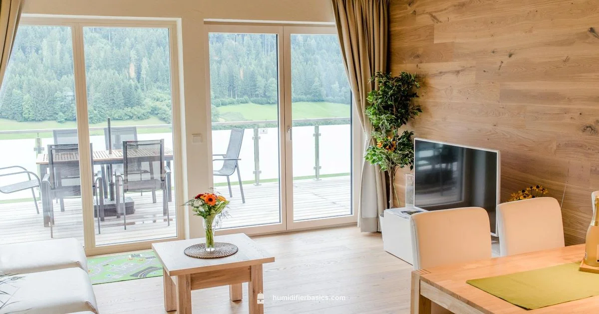 Big Space Humidifier - HumidifierBasics