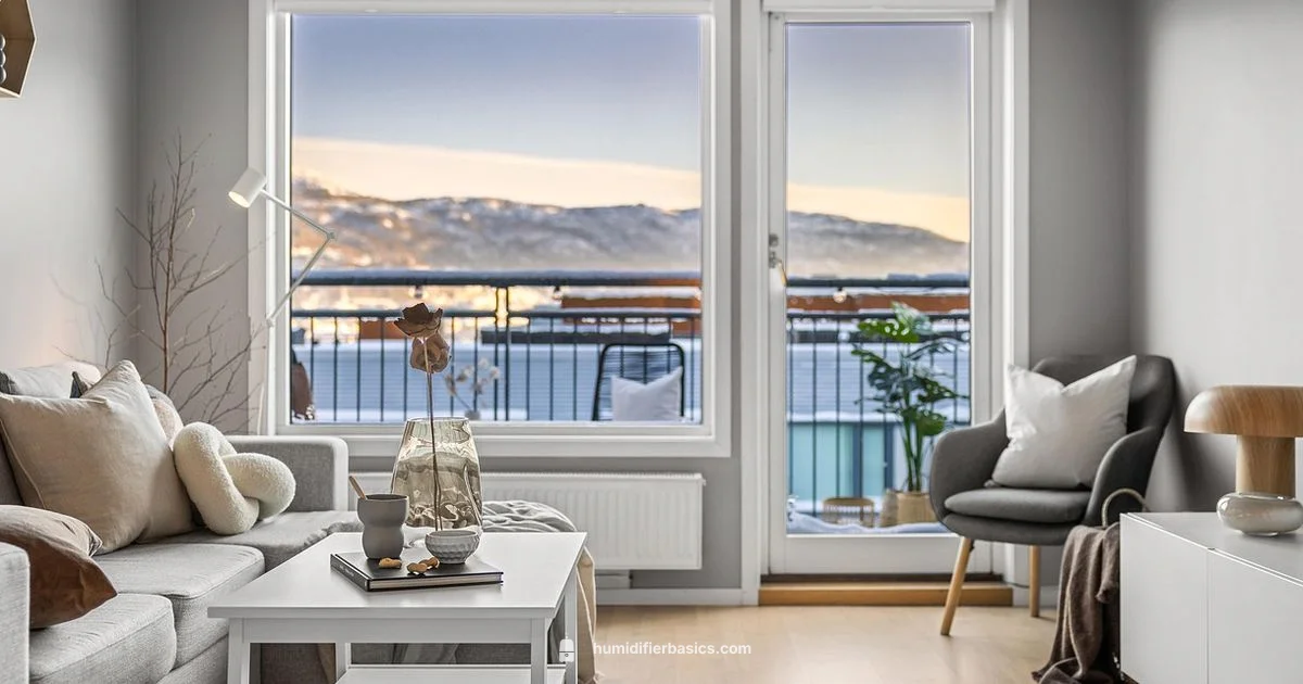 Air Care Trio - HumidifierBasics