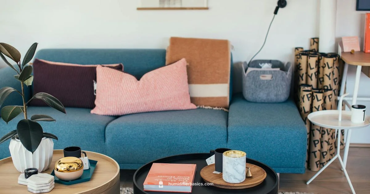 Cold Relief Humidifier - HumidifierBasics