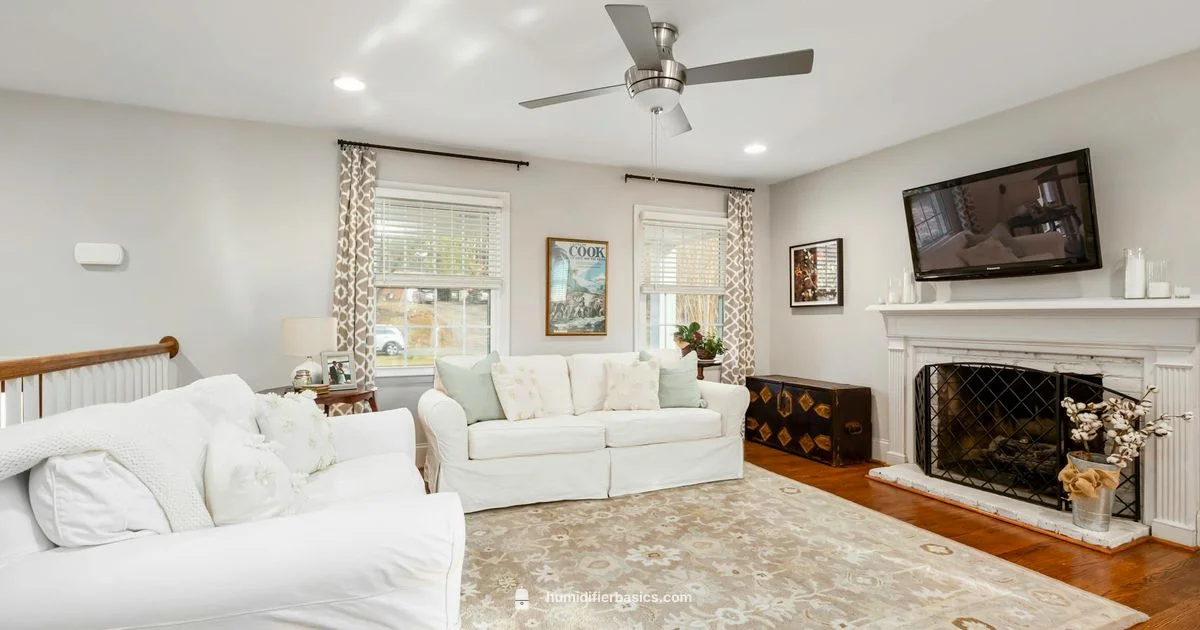 Whole House Humidifier Guide - HumidifierBasics