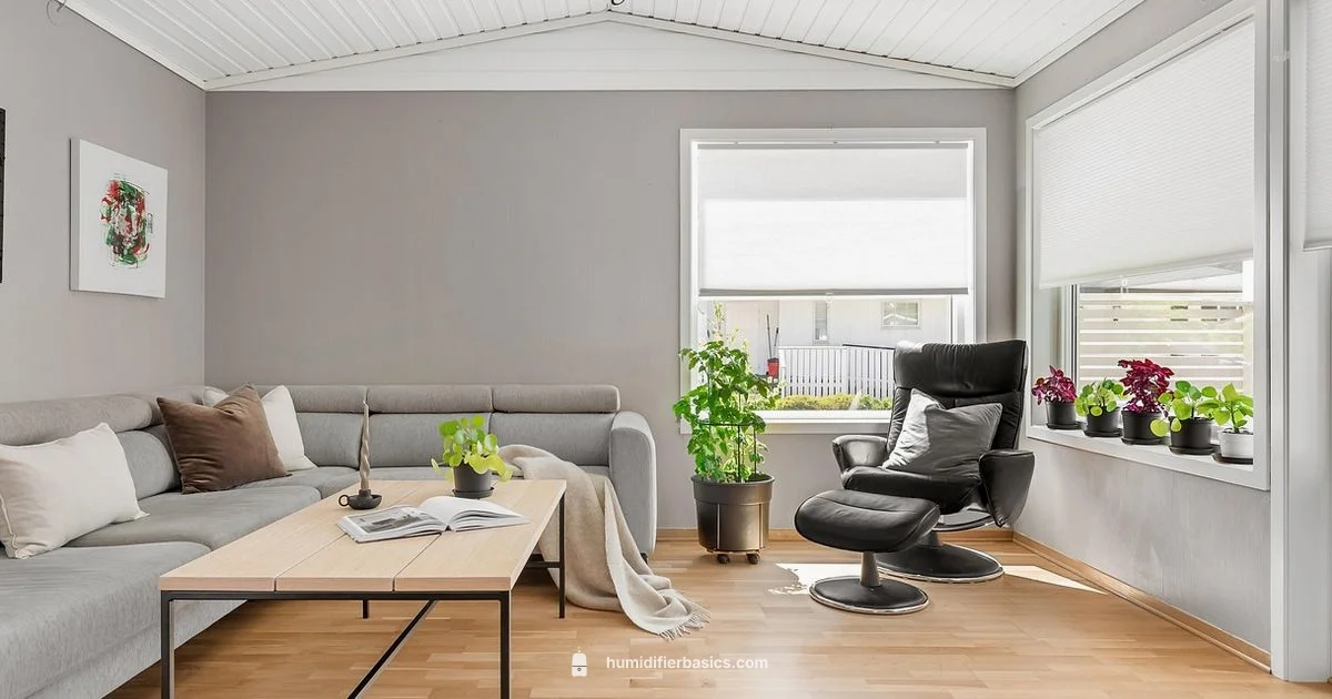 Top Humidifier Picks - HumidifierBasics