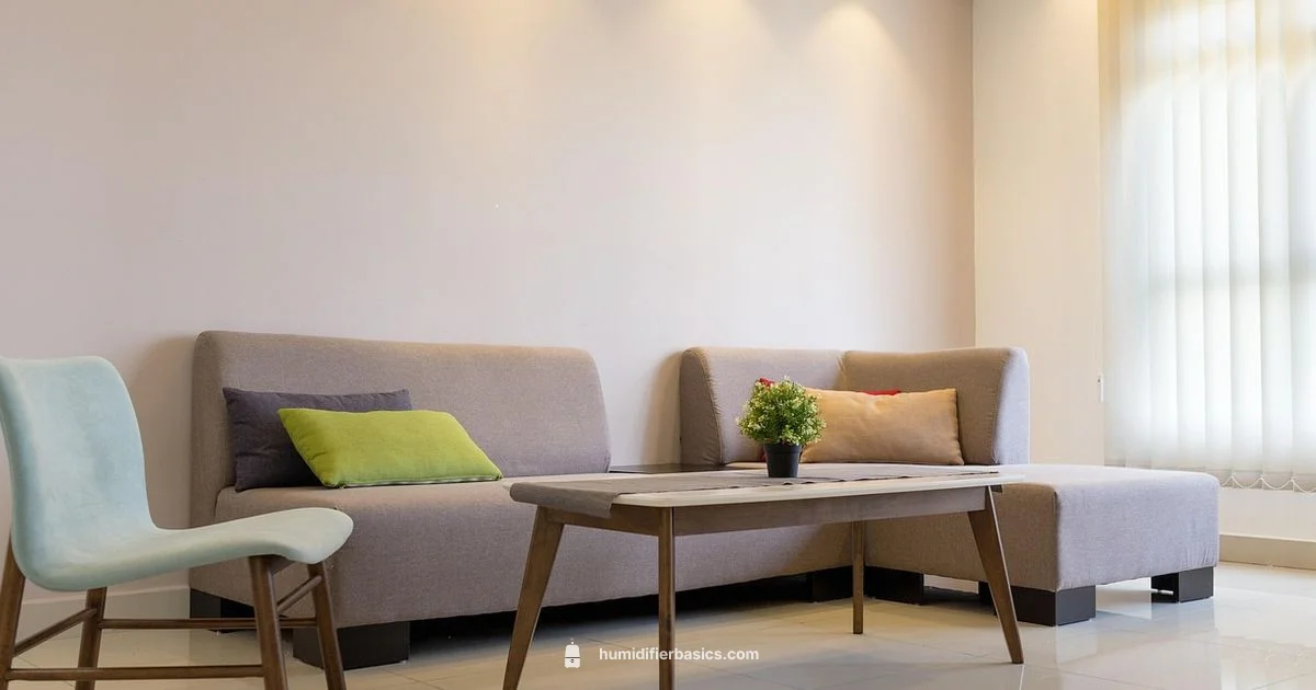 Dry Air Guide - HumidifierBasics