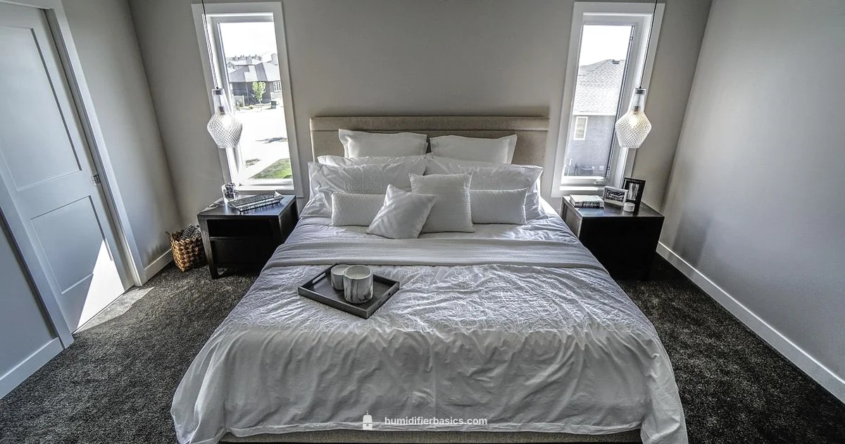 Sleep Setup - HumidifierBasics