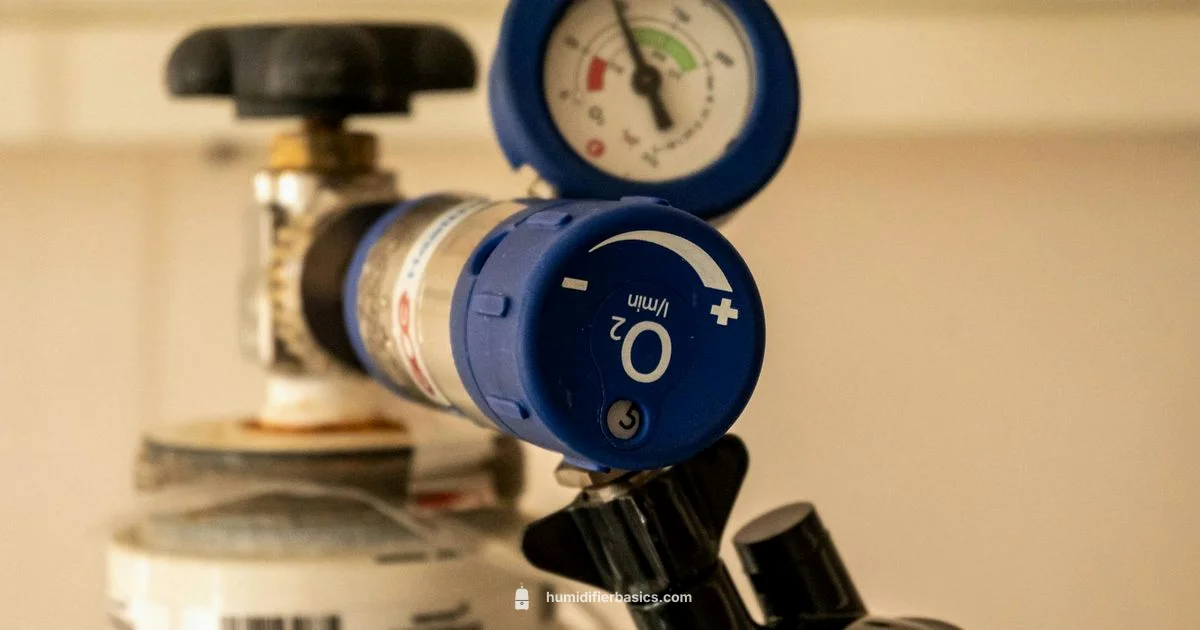 Oxygen Humidifier - HumidifierBasics