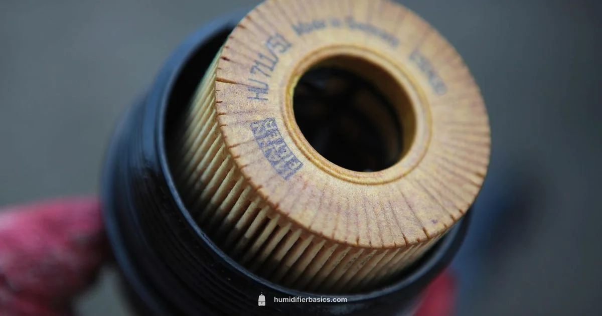 Humidifier Filters Guide - HumidifierBasics