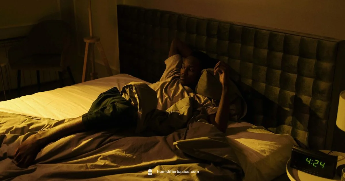 Mucus Relief Humidifier - HumidifierBasics