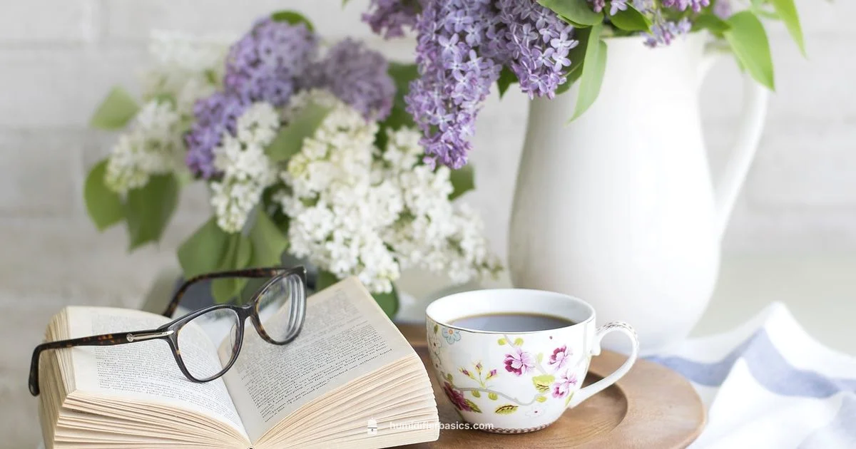 Top Humidifier Guide - HumidifierBasics