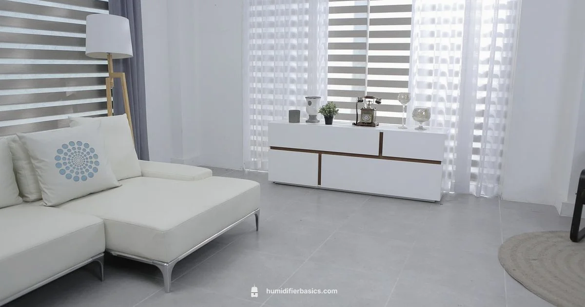 Humidifier and Purifier Duo - HumidifierBasics