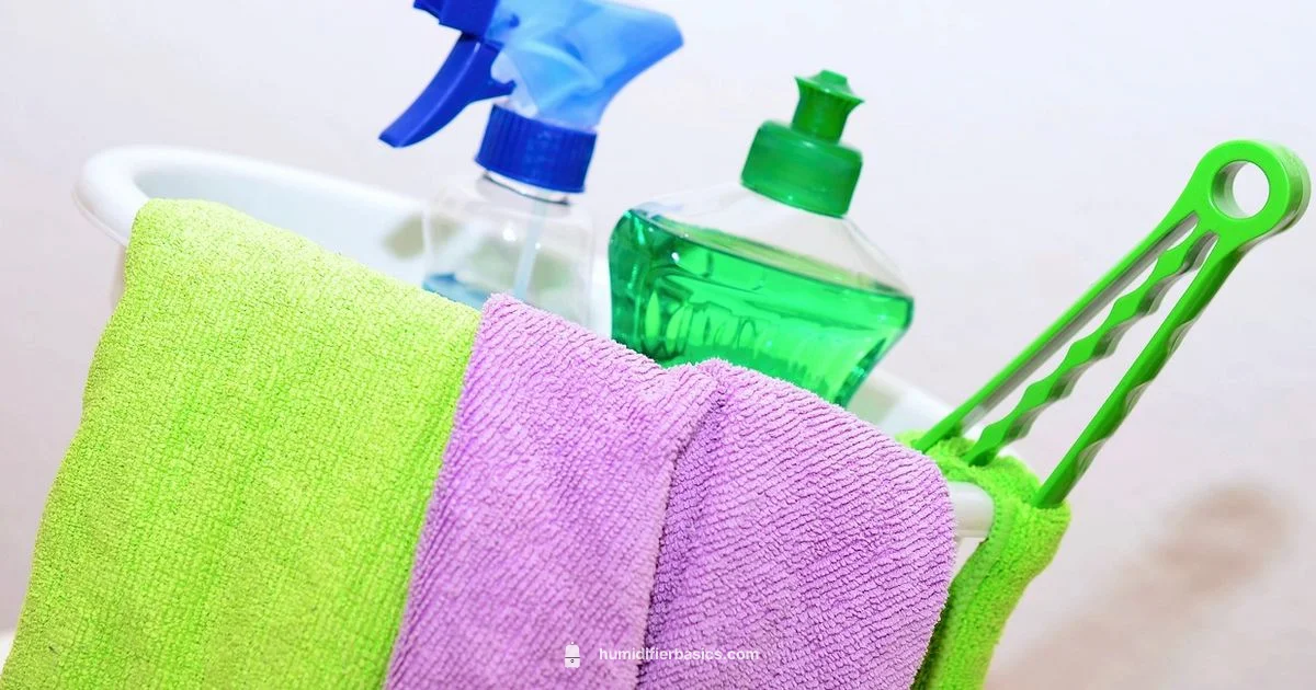 Humidifier Cleaning Guide - HumidifierBasics