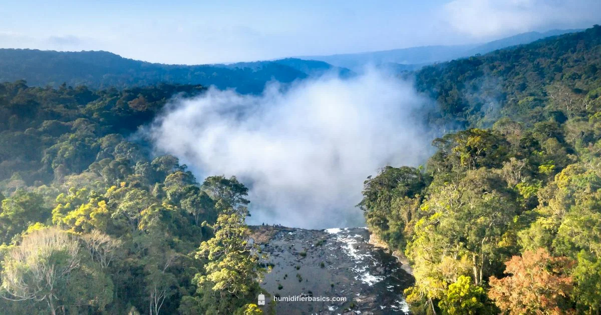 Fishy Odor Fixed - HumidifierBasics