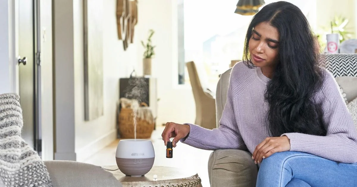 Home Air Comfort - HumidifierBasics