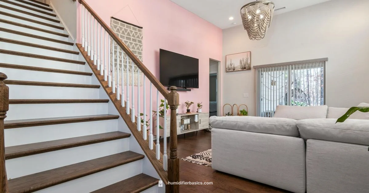 Best Humidifiers 2026 - HumidifierBasics