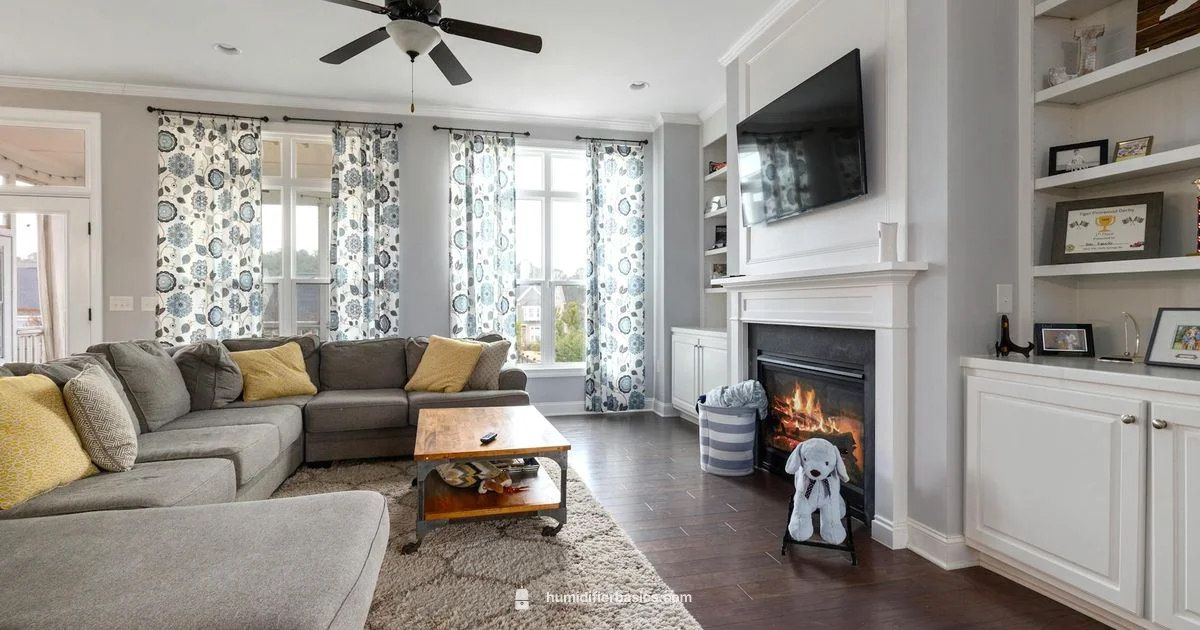 Whole-House Humidifier Guide - HumidifierBasics