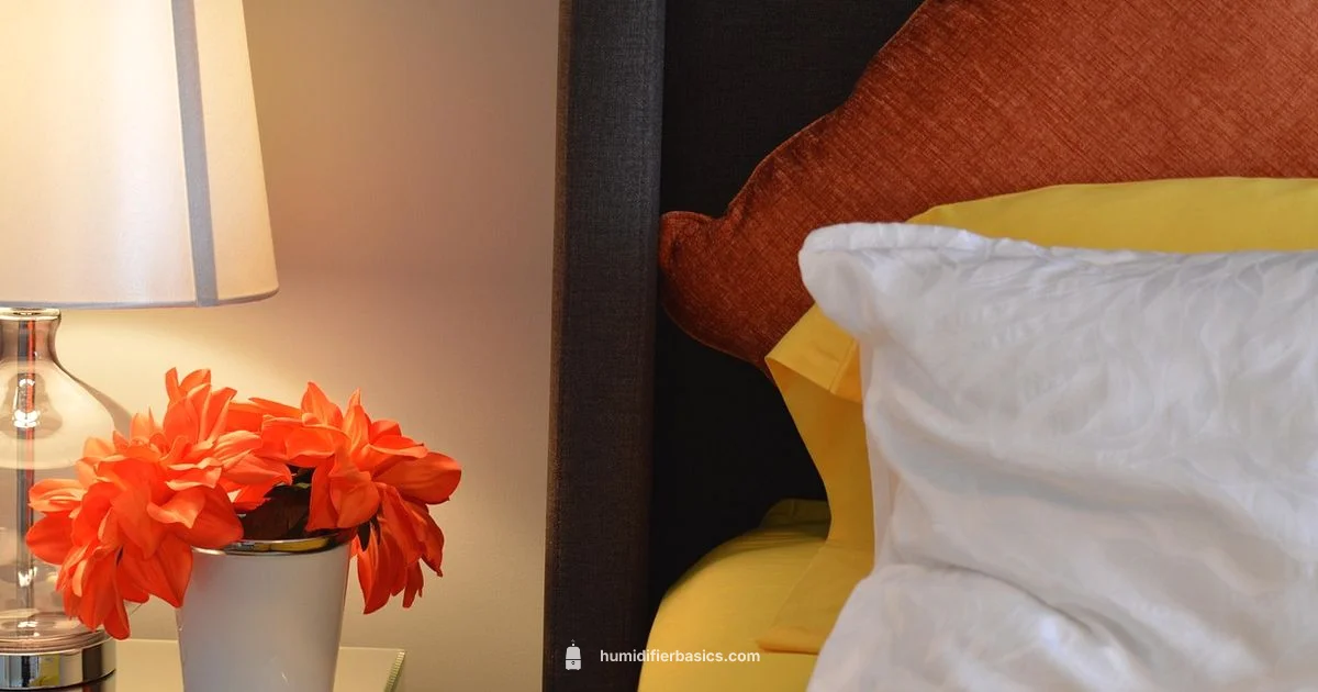 Humidifier Water Guide - HumidifierBasics