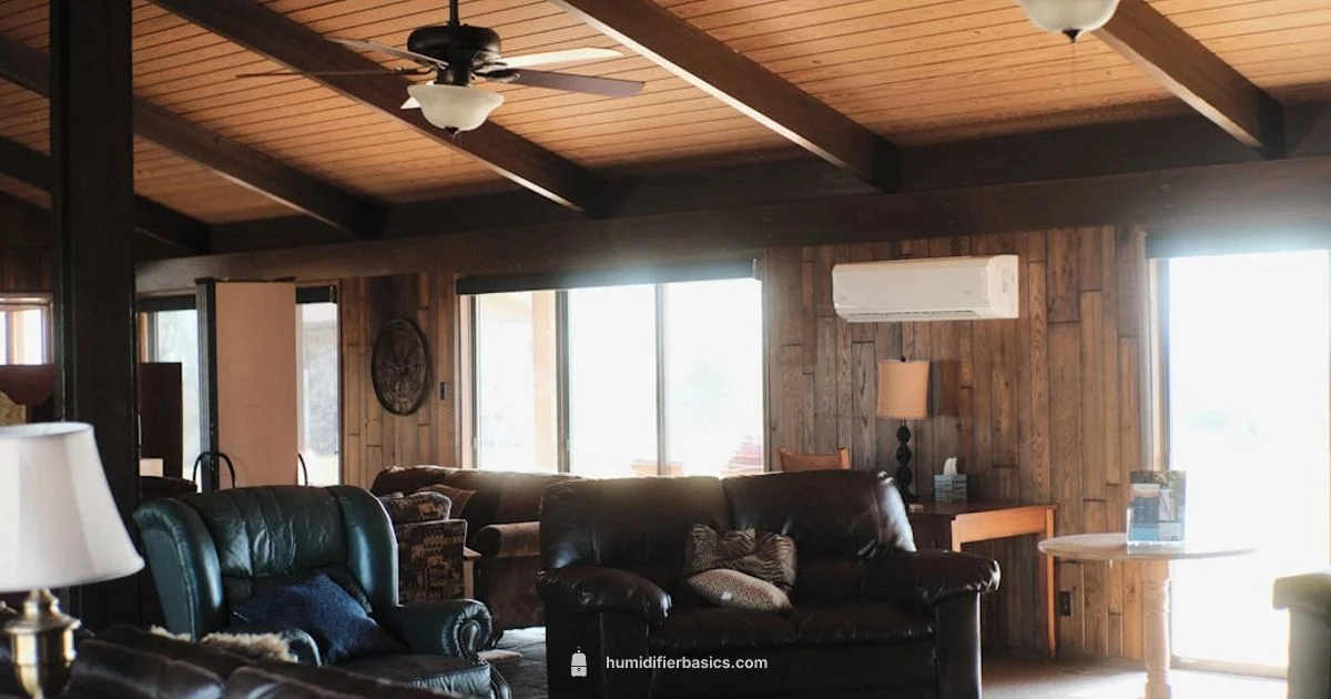 Humidifier Guidance - HumidifierBasics