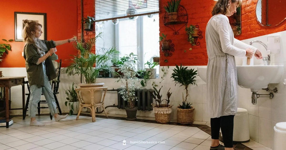 Top Humidifiers 2026 - HumidifierBasics