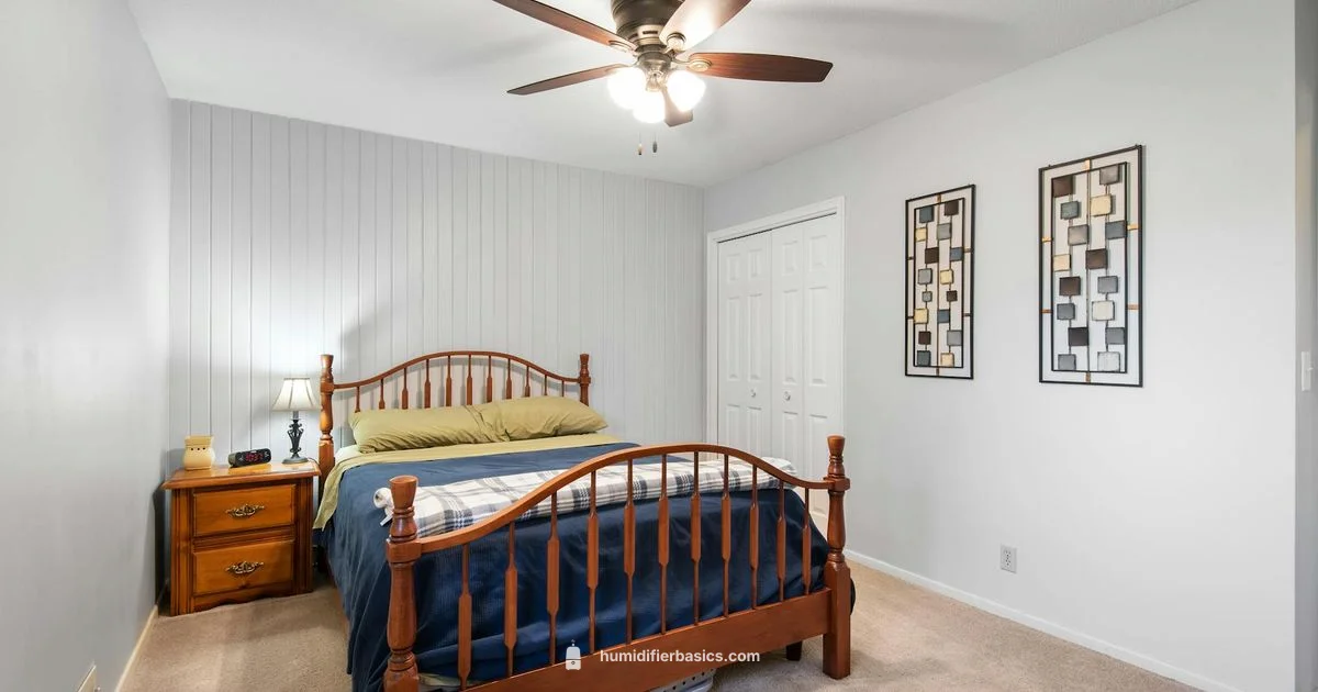 HEPA Humidifier Guide - HumidifierBasics