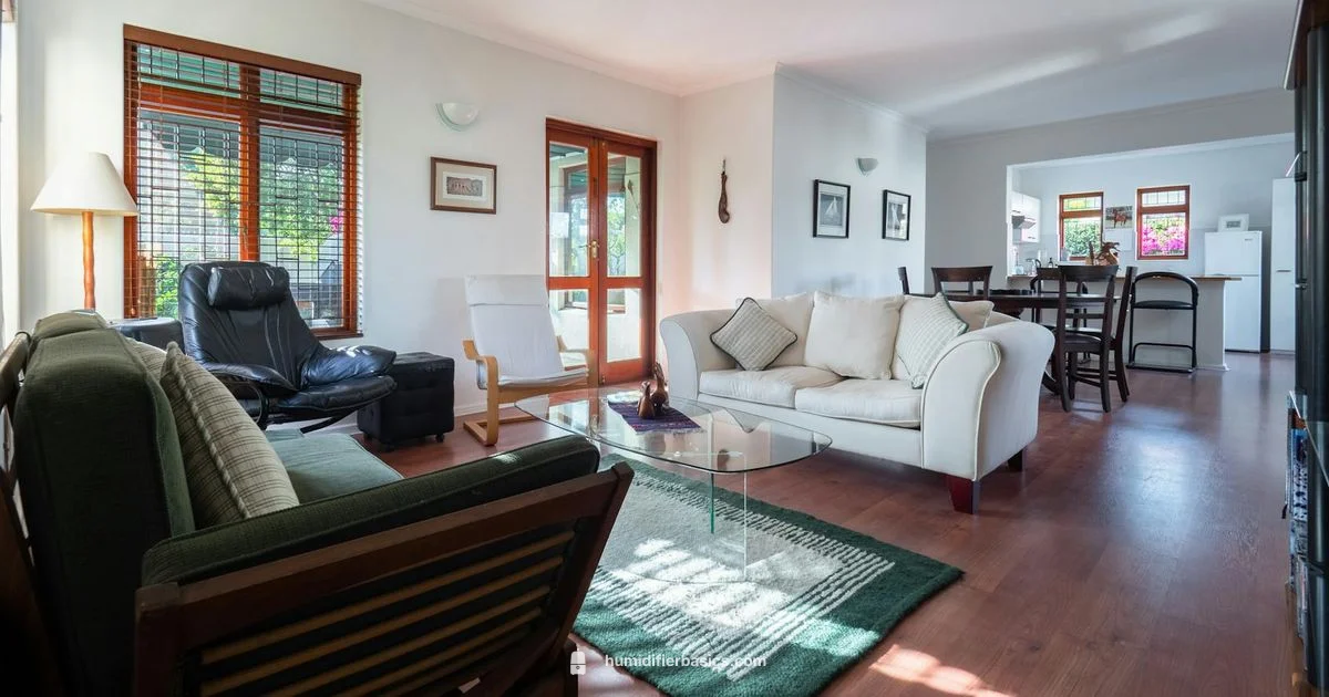 House Humidifier Guide - HumidifierBasics