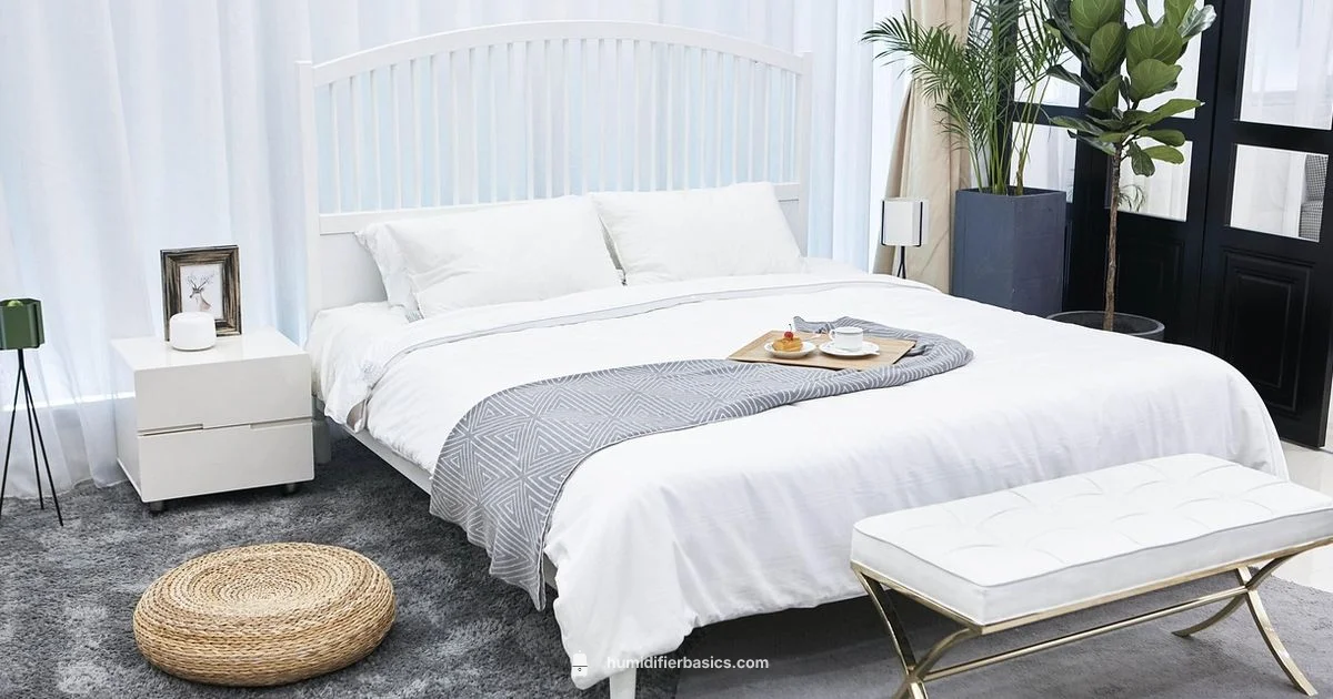 Congestion Relief with Humidity - HumidifierBasics