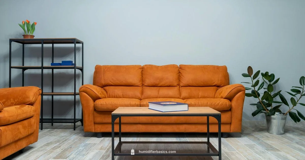 Humidifier vs Boiling Water - HumidifierBasics