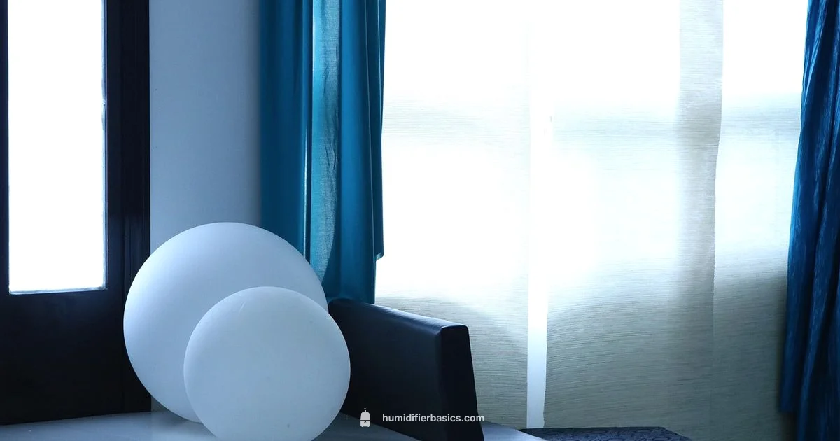 Humidifier Guide 2026 - HumidifierBasics