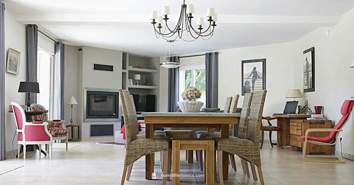 Best Humidifier Guide - HumidifierBasics