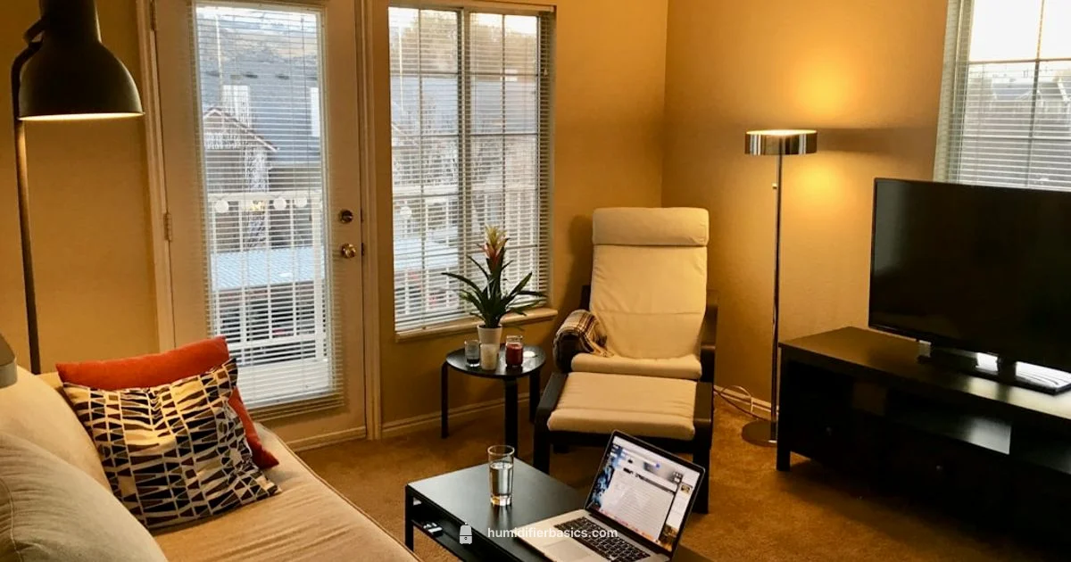 Humidifier Troubleshooting - HumidifierBasics