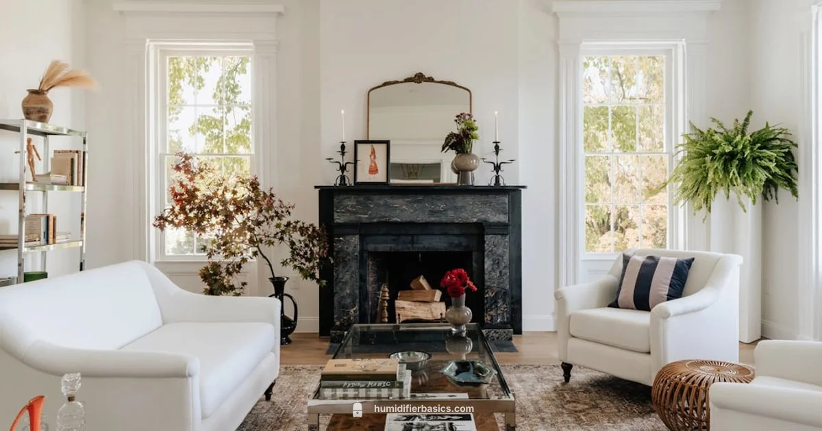 Smart Humidity, Simple Control - HumidifierBasics