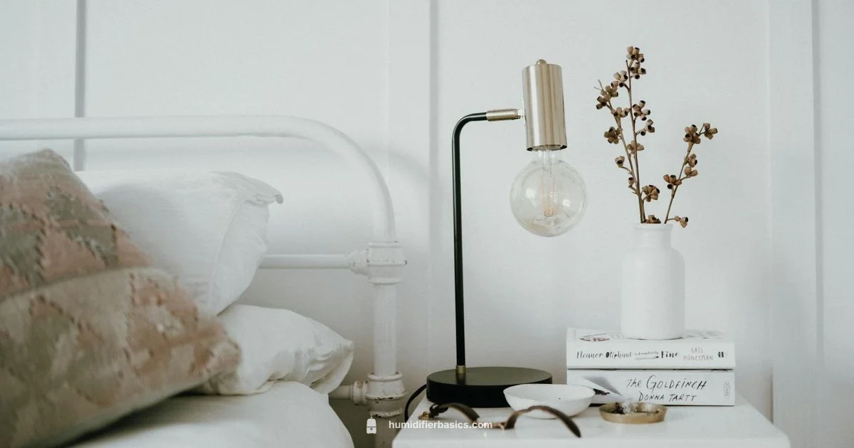 CarePod Pricing - HumidifierBasics