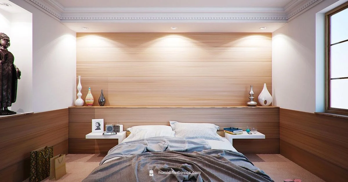 Room Humidifier Guide - HumidifierBasics