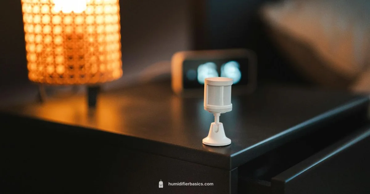 Smart Humidity, Simple Life - HumidifierBasics