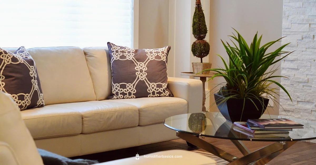 Humidifier Safety - HumidifierBasics