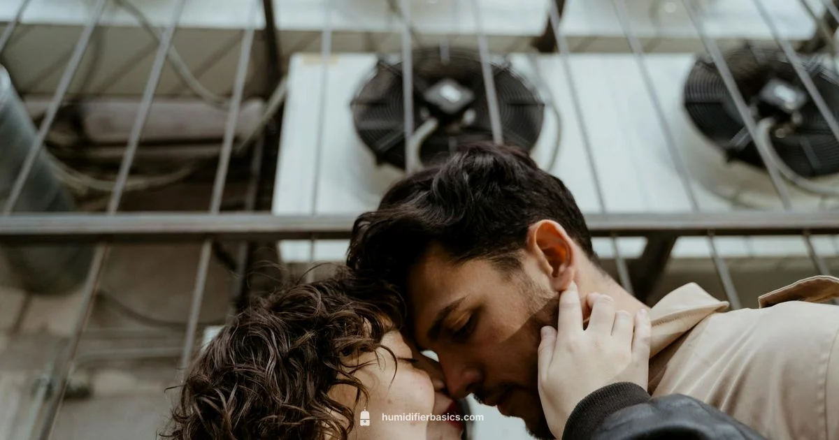 Whole-House Humidifier Install - HumidifierBasics