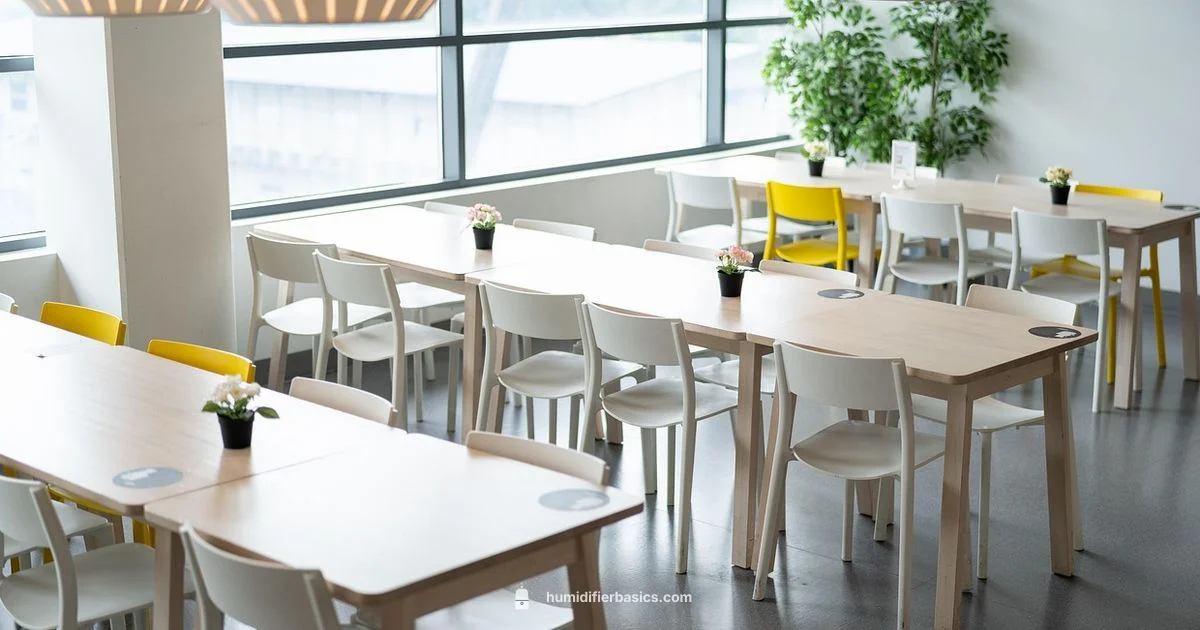 Vinegar Cleaning Guide - HumidifierBasics