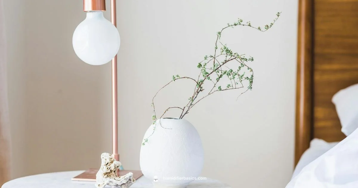 Warm Humidity Guide - HumidifierBasics