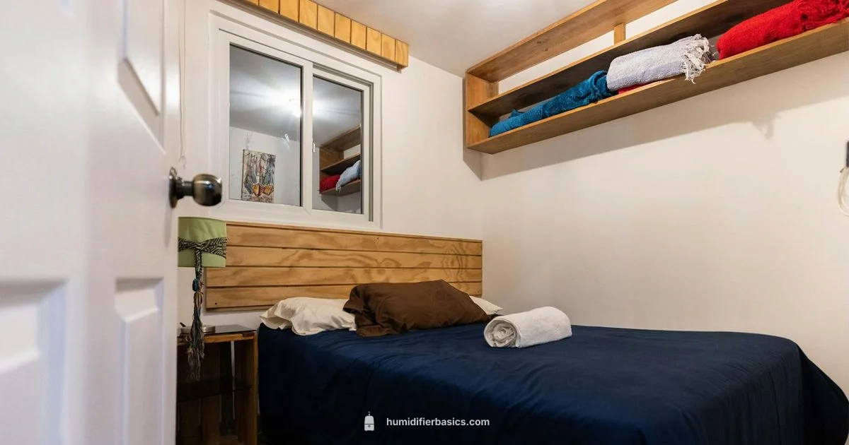 Everyday Humidity Care - HumidifierBasics