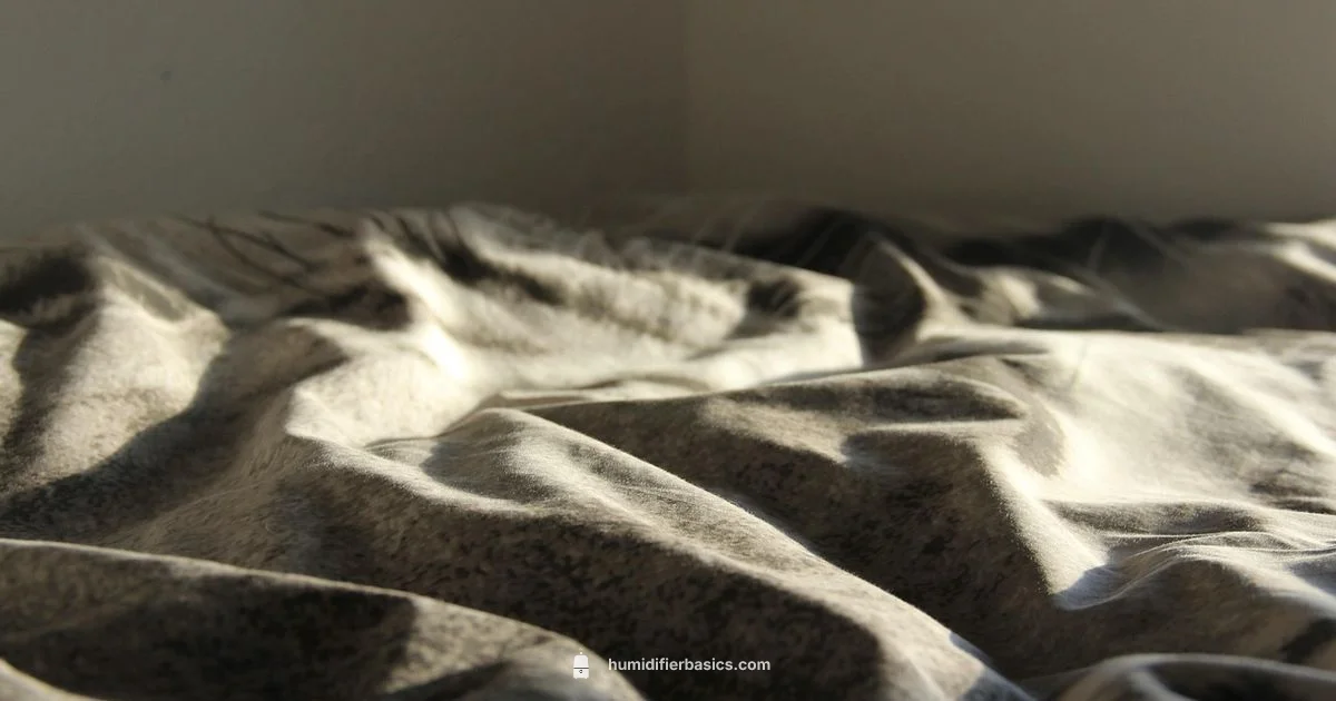 Cool Mist Guide - HumidifierBasics