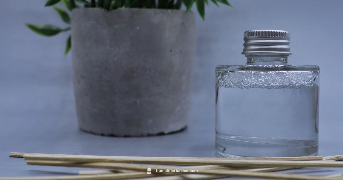 Humidifier vs Diffuser - HumidifierBasics