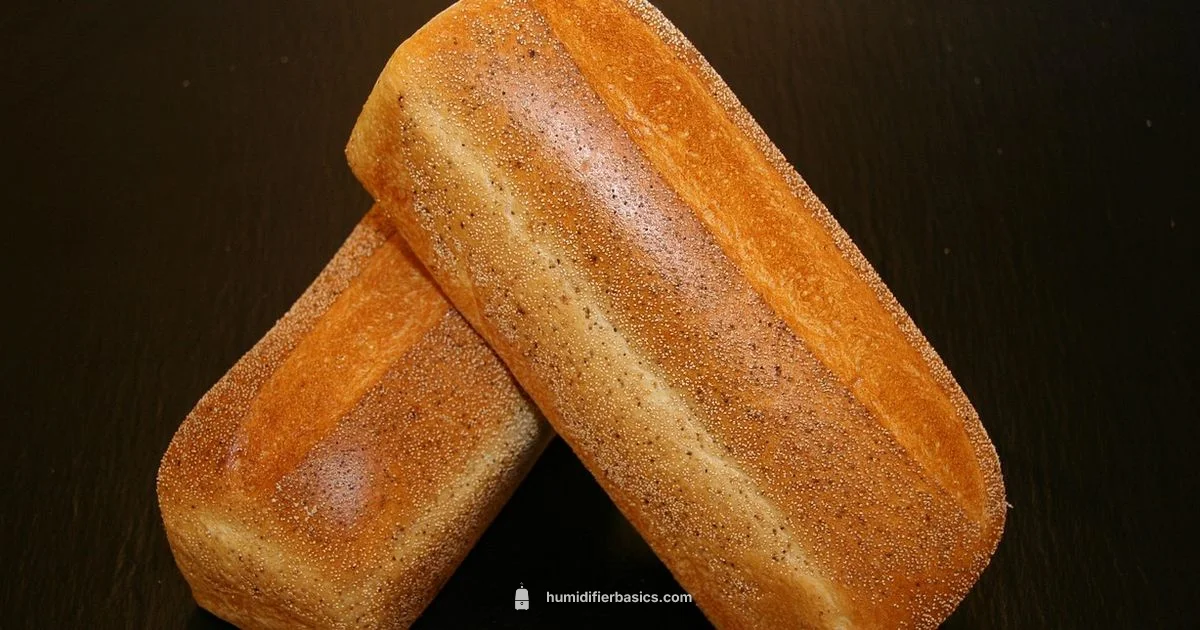 Humidifier Safety Guide - HumidifierBasics