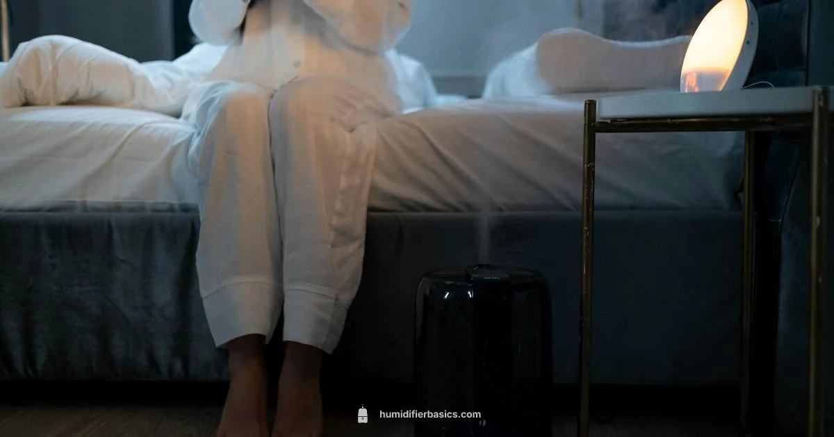 Allergy Humidity - HumidifierBasics