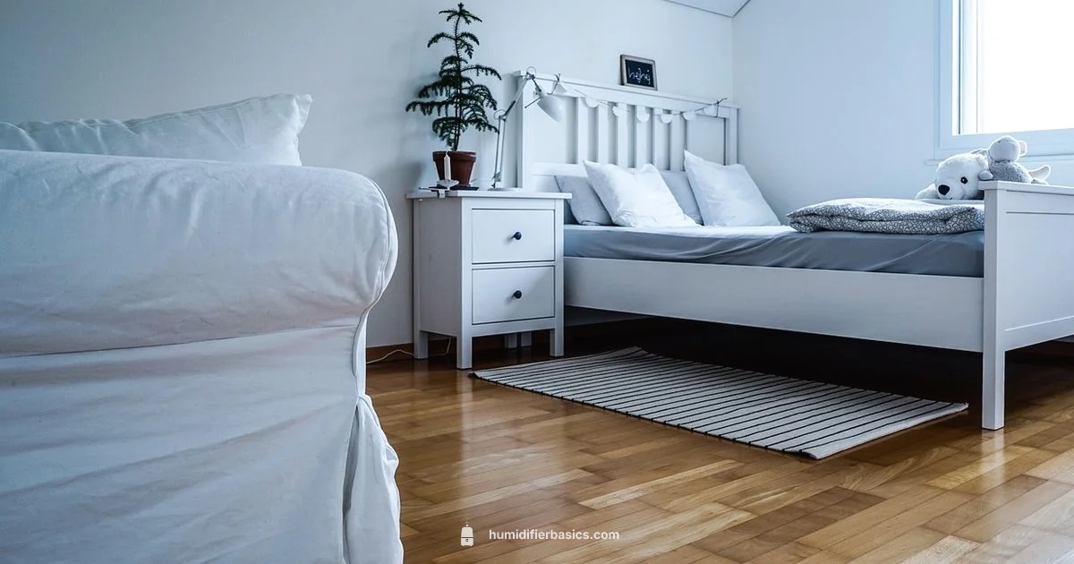 Cold Comfort Humidity - HumidifierBasics