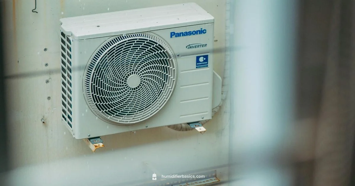 AC Room Humidifier - HumidifierBasics