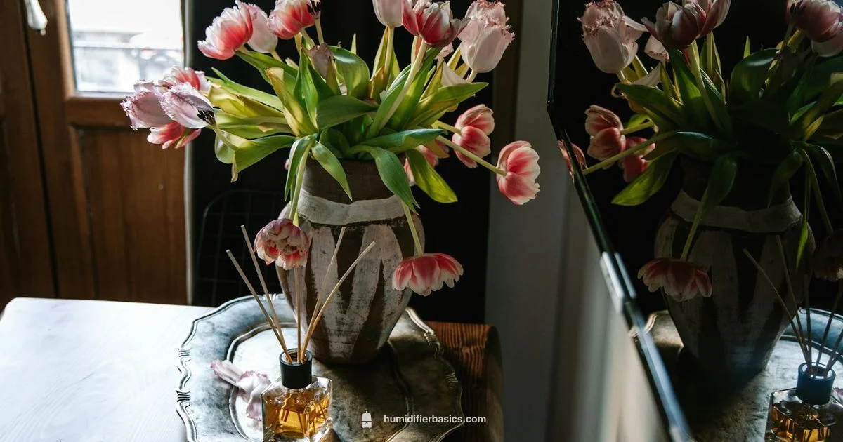 Humidifier and Diffuser Guide - HumidifierBasics